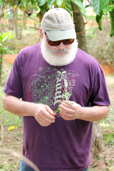 Herb garden