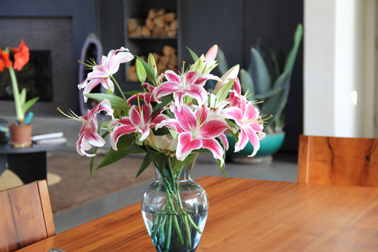 Flowers in vase