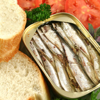 sardines tin