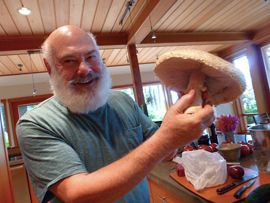 Agaricus augustus mushroom