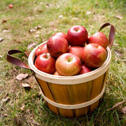 apples basket
