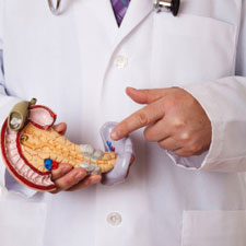pancreas