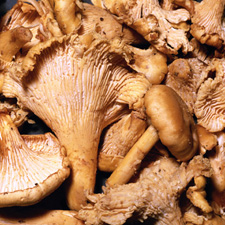 mushrooms