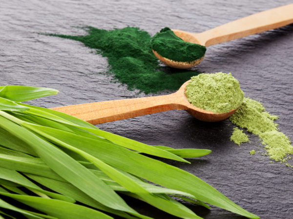 Chlorella for Chronic Fatigue? | Ask Dr. Weil | Andrew Weil, M.D.
