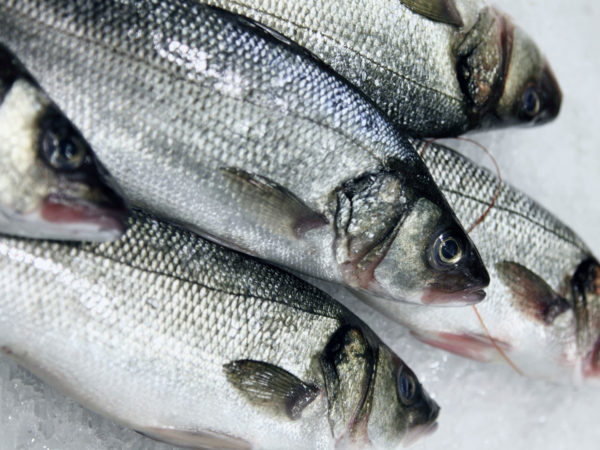 slave labor at sea frozen fish