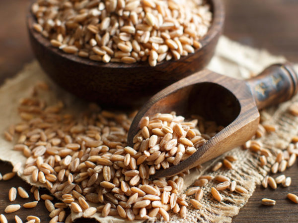 ancient grains