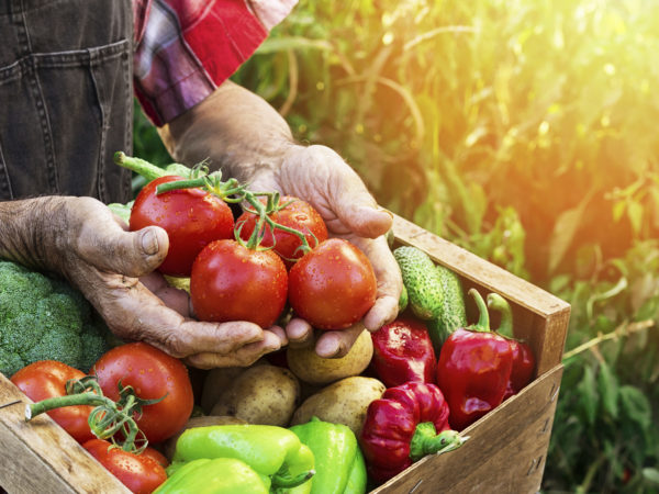 Crate with vegetables