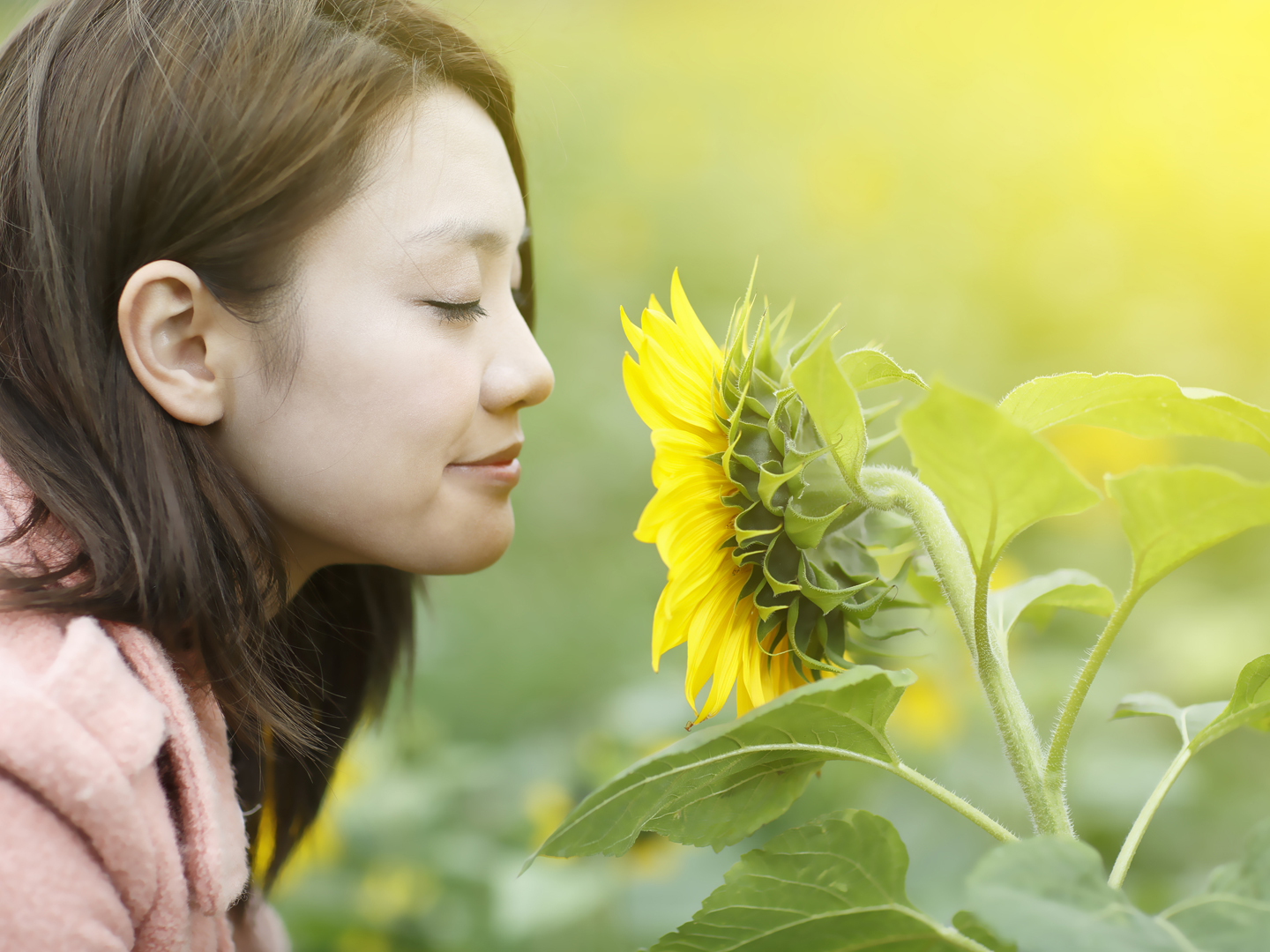 Young Woman Smelling Sunflowers ; shot with very shallow depth of field