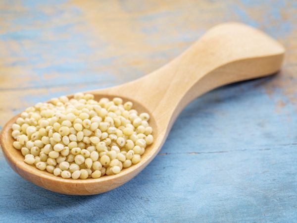 millet grain on a wooden spoon against blue painted grunge wood