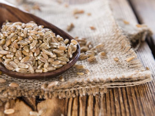 Portion of Spelt on dark wooden background (close-up shot)