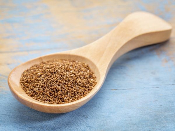 teff grain on a wooden spoon against blue painted grunge wood