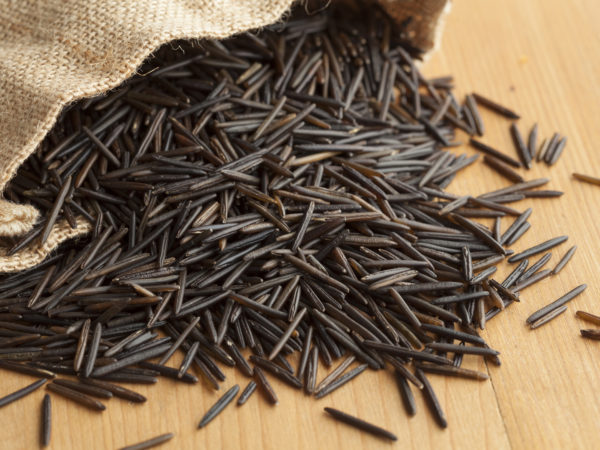Raw black wild rice from a jute bag