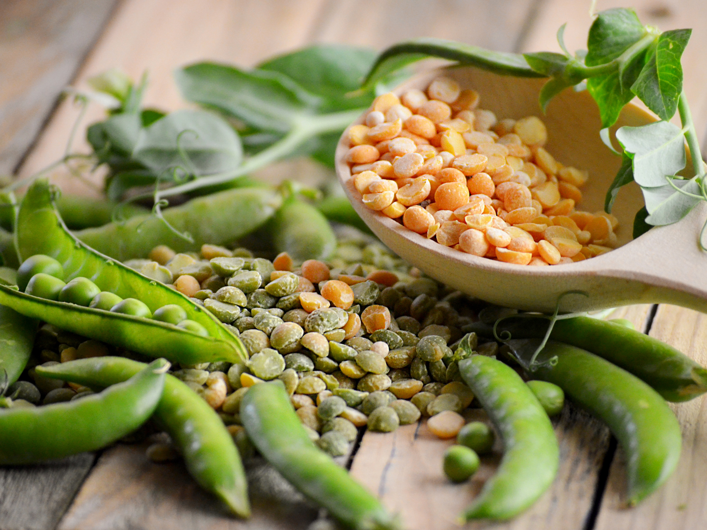 What Are Legumes? Types, Nutrition, and Cooking!