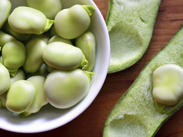 Broad beans fava beans in bowl on wooden table. Summer vegetables, legumes. Top view.