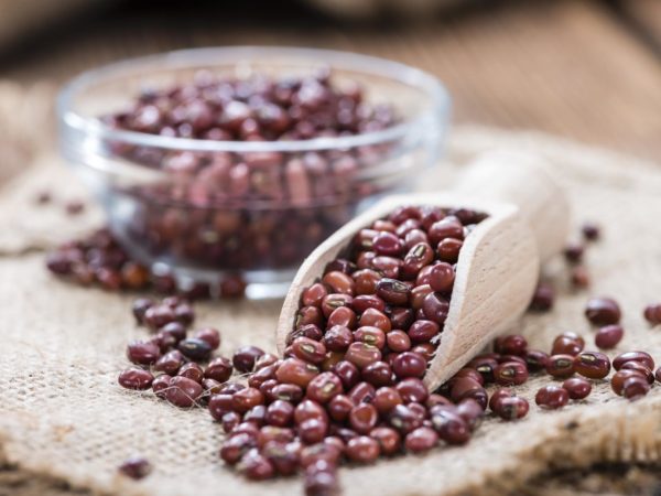 Portion of dried red beans on wooden background (close-up shot)