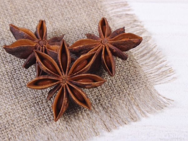 Cooking With Spices: Anise | Dr. Weil&#039;s Healthy Kitchen