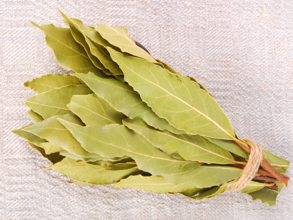 bay leaves