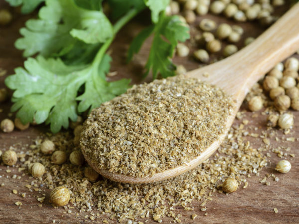 Coriander powder, Aromatic ingredients and condiment on rustic wooden table