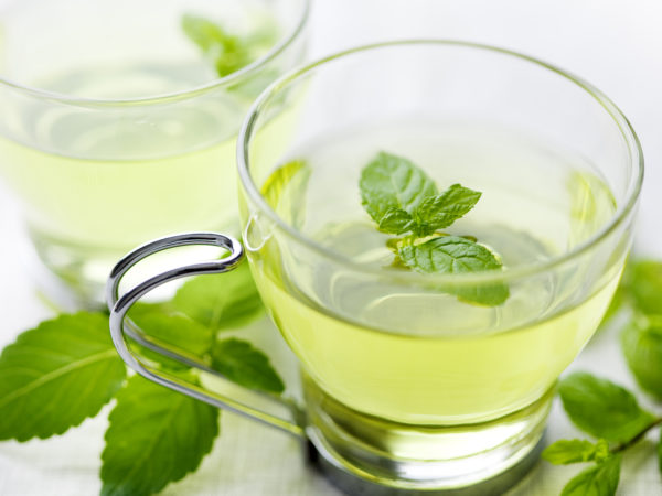 closeup of fresh mint tea, surrounded by fresh mint