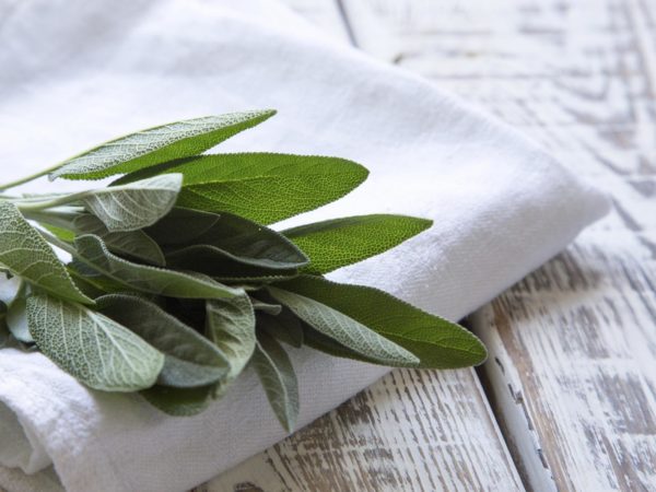 Cooking With Spices: Sage | Dr. Weil&#039;s Healthy Kitchen