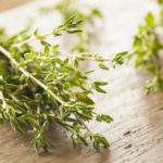 Raw Organic Green Thyme in a Bunch