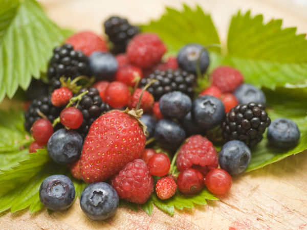 berry fruits