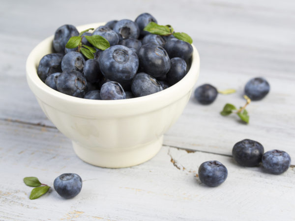 Fresh blueberries in a white ceramic bowl on a grey wooden background