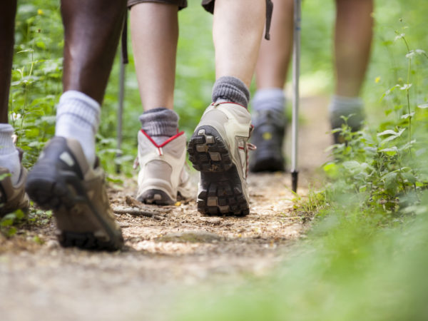 group of man and women during hiking excursion in woods, walking in a queue along a path. Low section view