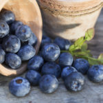 Fresh ripe Blueberries crop in the garden