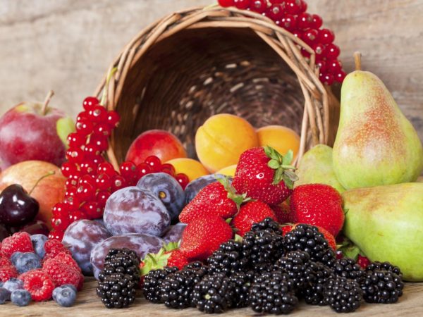 Freshly harvested seasonal Fruits, with a Basket