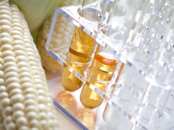 Corn and lab equipment. Concept for biofuel research.