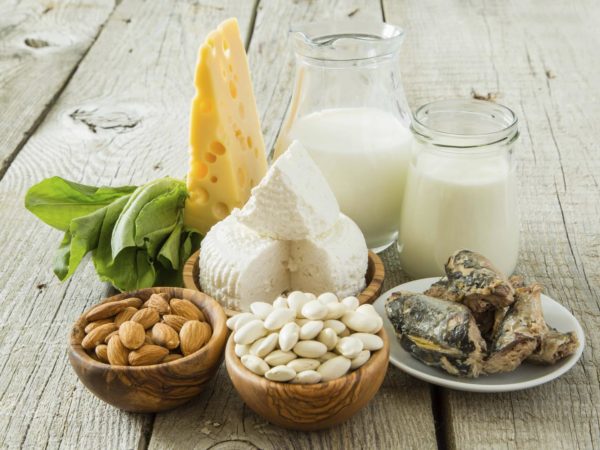 Selection of food that is rich in calcium, copy space