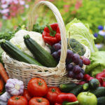 Fresh organic vegetables in wicker basket in the garden.