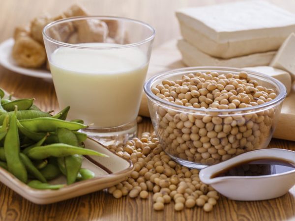 Soy bean, tofu and other soy products