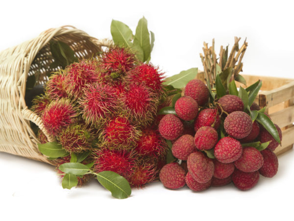 asian fruit , Fresh rambutan and lychee
