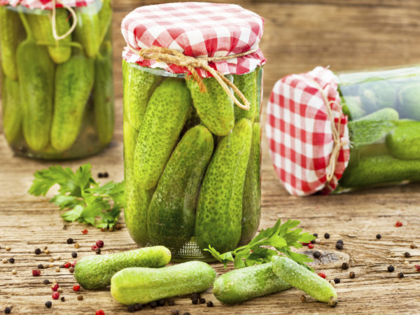 Jars of pickled marinated cucumbers on rustic table