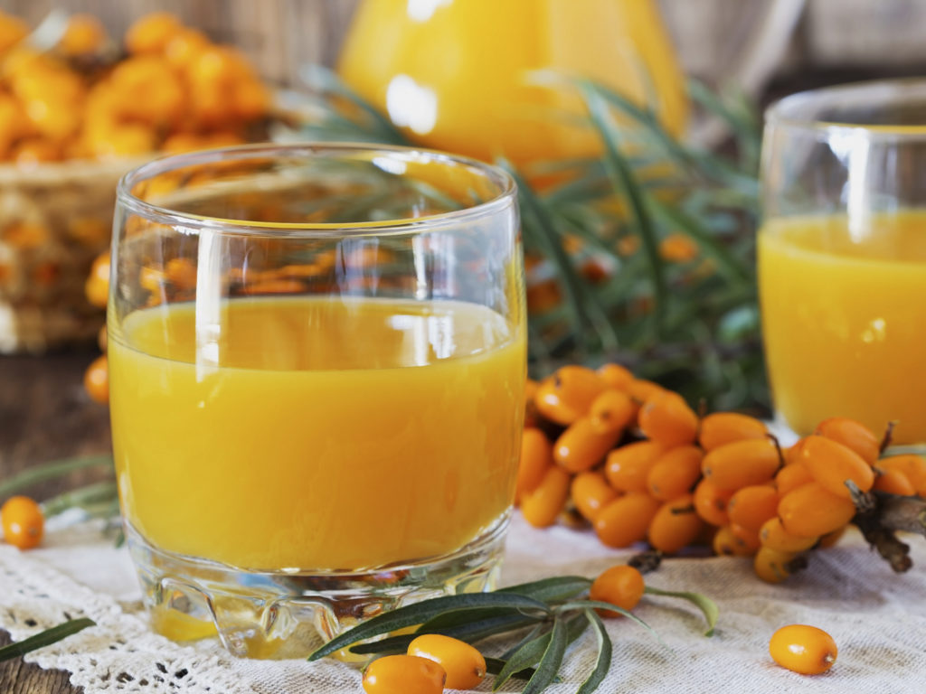 Sea buckthorn tea is the elixir of health and longevity Sea buckthorn tea is the elixir of health and longevity