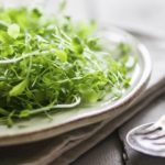 Raw sprouts(microgreens) on wooden background