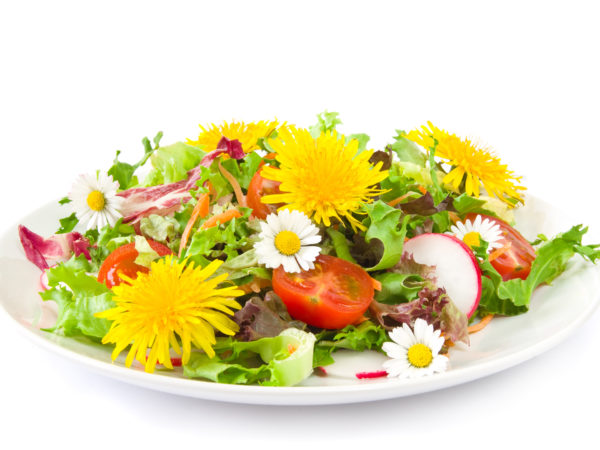 Fresh spring salad with eatable blossoms. (dandelion and daisy)