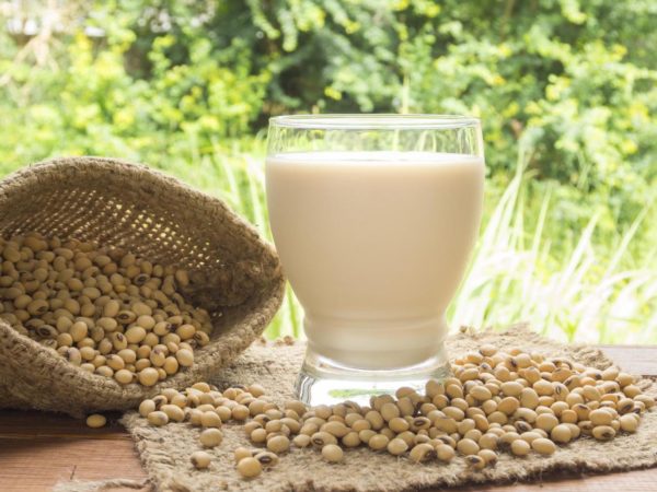 soymilk, soybean milk, in glass for drink.Soybean and soy milk in a glass on a black background.