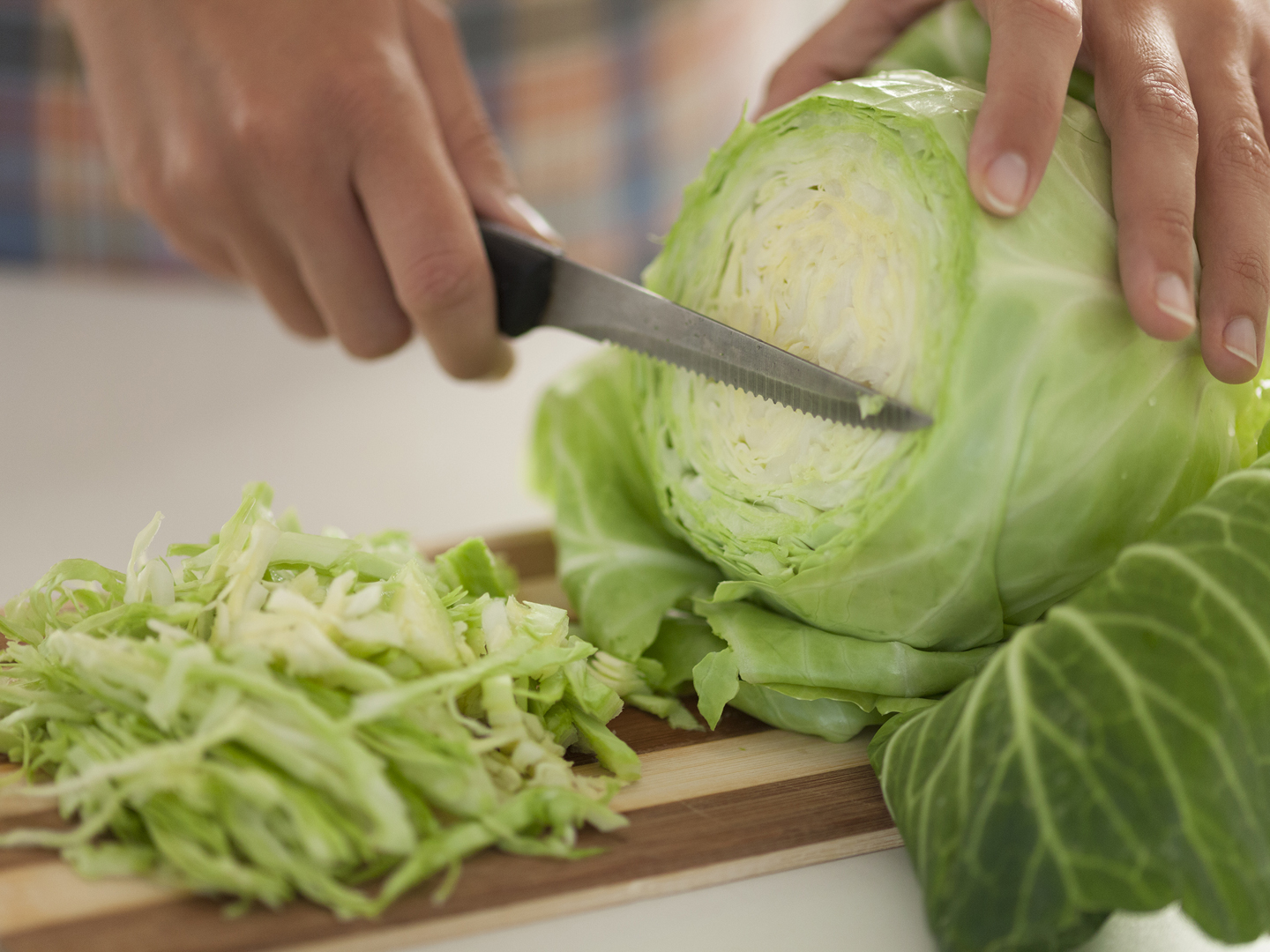 Image result for . Green Cabbage