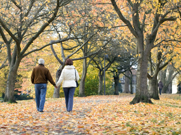 Rear view of loving senior couple holding hands walking in park under tree canopy in autumn.