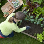 Overhead, outdoors shot of a lady wearing red wellington boots and lime green top, kneeling down on green grass, weeding a raised bed in a vegetable garden. She has a garden trug containing garden tools and vegetable seeds by her side.