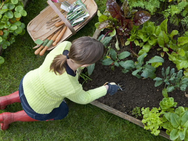 Overhead, outdoors shot of a lady wearing red wellington boots and lime green top, kneeling down on green grass, weeding a raised bed in a vegetable garden. She has a garden trug containing garden tools and vegetable seeds by her side.