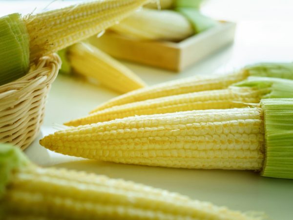 Baby Corn Mystery | Gardening | Andrew Weil, M.D.