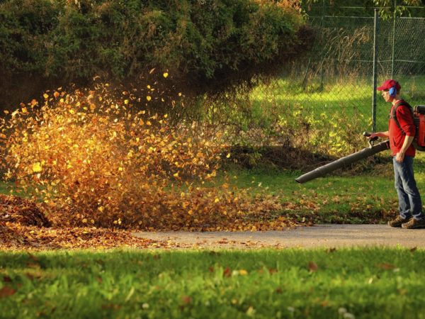 Mini Leaf Blower - Useless Things to Buy!