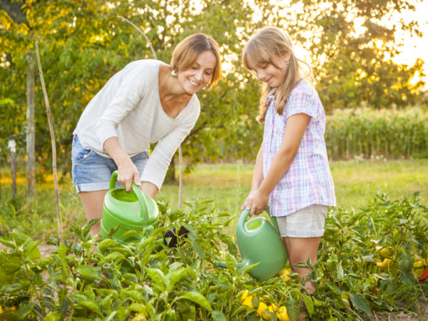 Mother and daughter watering vegetables in their garden. Trees and corn field visible in the background. Sunlit from the back.