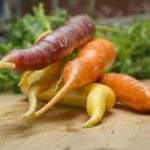 Bunch of multi colored carrots on wood table - Stock Photo