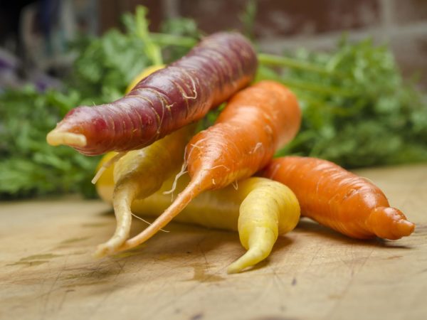 Bunch of multi colored carrots on wood table - Stock Photo