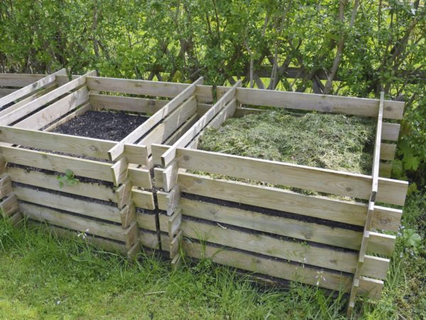 compost in the garden background